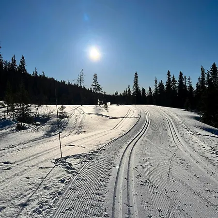 Modern Family By Tempelseter Trails Eggedal